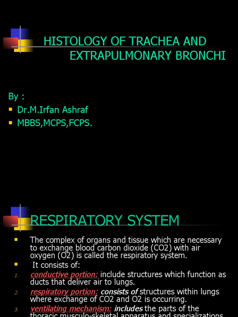 Histology of Trachea and Extrapulmonary Bronchi By Dr.M.Irfan Ashraf MBBS, MCPS, Fcps PDF