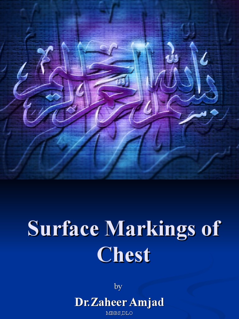 Chest Surface Markings Explained | PDF | Thorax | Vertebral Column