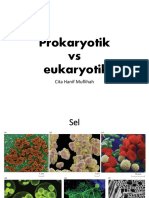 Prokaryotik Vs Eukaryotik