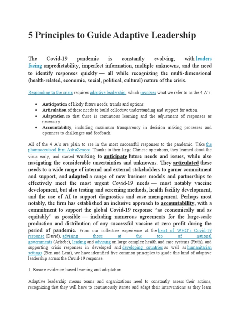 5-principles-to-guide-adaptive-leadership-pdf-decision-making