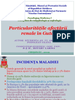 13prezentare Podolean Oxana 16.03.19