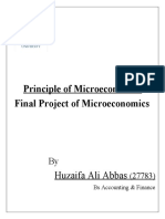 Microeconomics Final Project