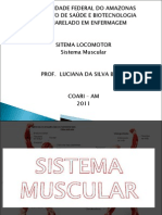 Sistema muscular