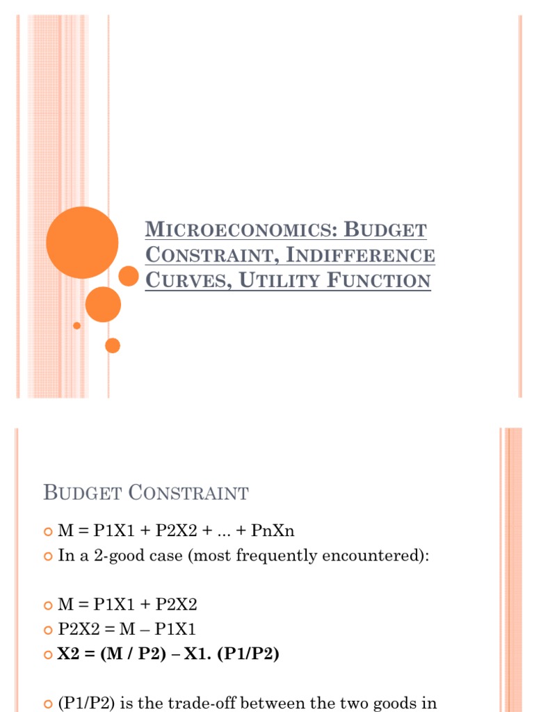 Budget Constraint, Indifference Curves, Utility Function PDF