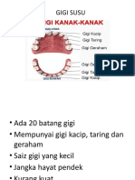 Nota Gigi Susu Dan Kekal - Marini