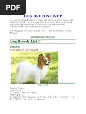 Dogs Info Pdf