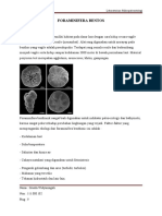 Foraminifera Bentos2