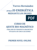Salud Energética Online - PDF.PDF Versión 1