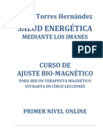 Terapia magnética polaridad norte para eliminar el dolor