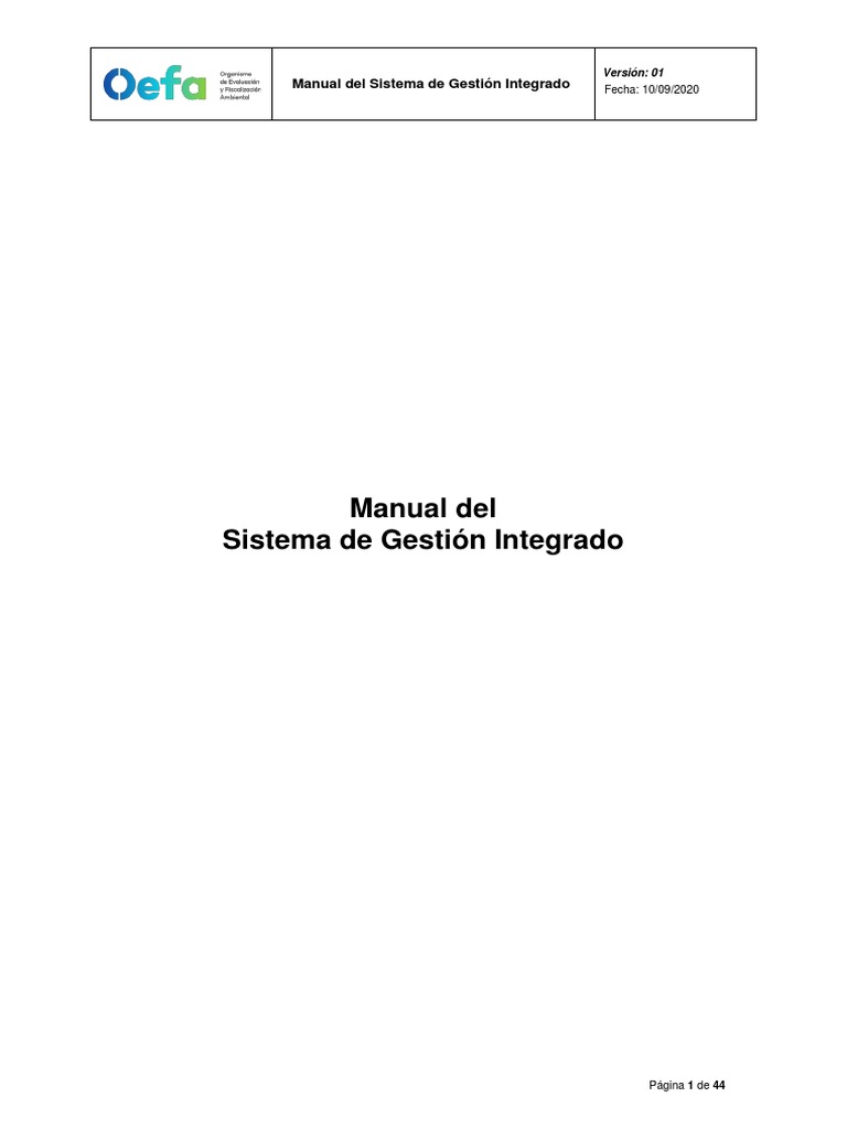 Manual Del Sistema de Gestión Integrado | PDF | Sistema de manejo de ...