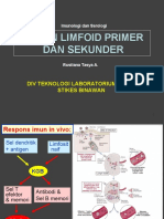 Organ Limfoid Primer Dan Sekunder