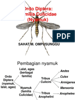 7diptera, Nyamuk