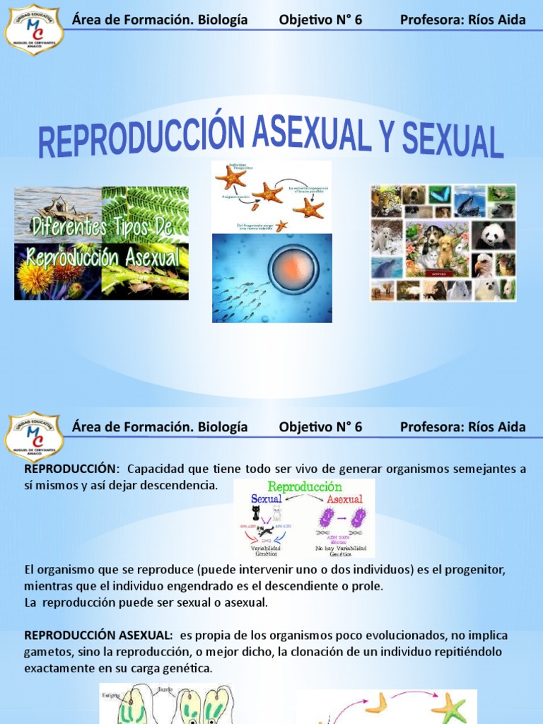 Reproducción Asexual y Sexual | PDF | Reproducción sexual | Reproducción