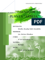 Crecimiento de la planta Arbeja: un estudio sobre tropismos y taxismos