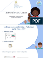 Instructivo Odk 2021 Ddi27