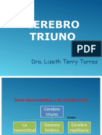 Tema 10 - Cerebro Triuno