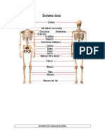 Tarea Marzo 2021