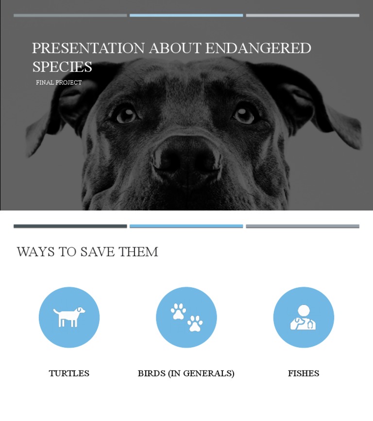 Presentation About Endangered Species: Final Project | PDF