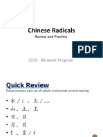 Chinese Radicals-Review