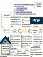 Mapa Mental PDF 1
