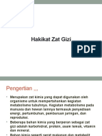 Hakikat Zat Gizi