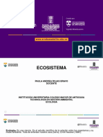 Presentacion Ecosistemas Con Formato 1
