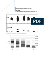 Análisis Articulatorio y Acústico de Vocales y Consonantes
