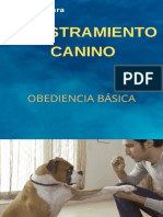 Adiestramiento Canino-Obediencia Básica