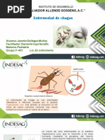 Enfermedad de Chagas