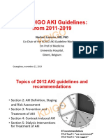 The KDIGO AKI Guidelines: From 2011-2019