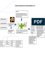 Mapa Mental Planes y Acciones Medio Ambiente y SST