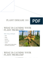 Plant Pathology 101 Powerpoint Part1