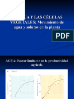 U 2movimiento de Agua y Solutos en La Planta