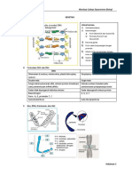 Modul Genetika