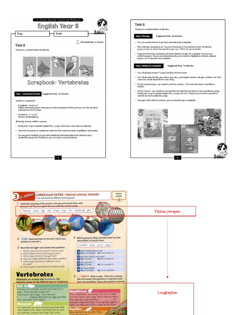 Scrapbook | PDF