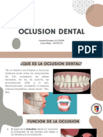 Oclusion Dental