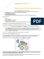 Glândulas salivares e suas funções