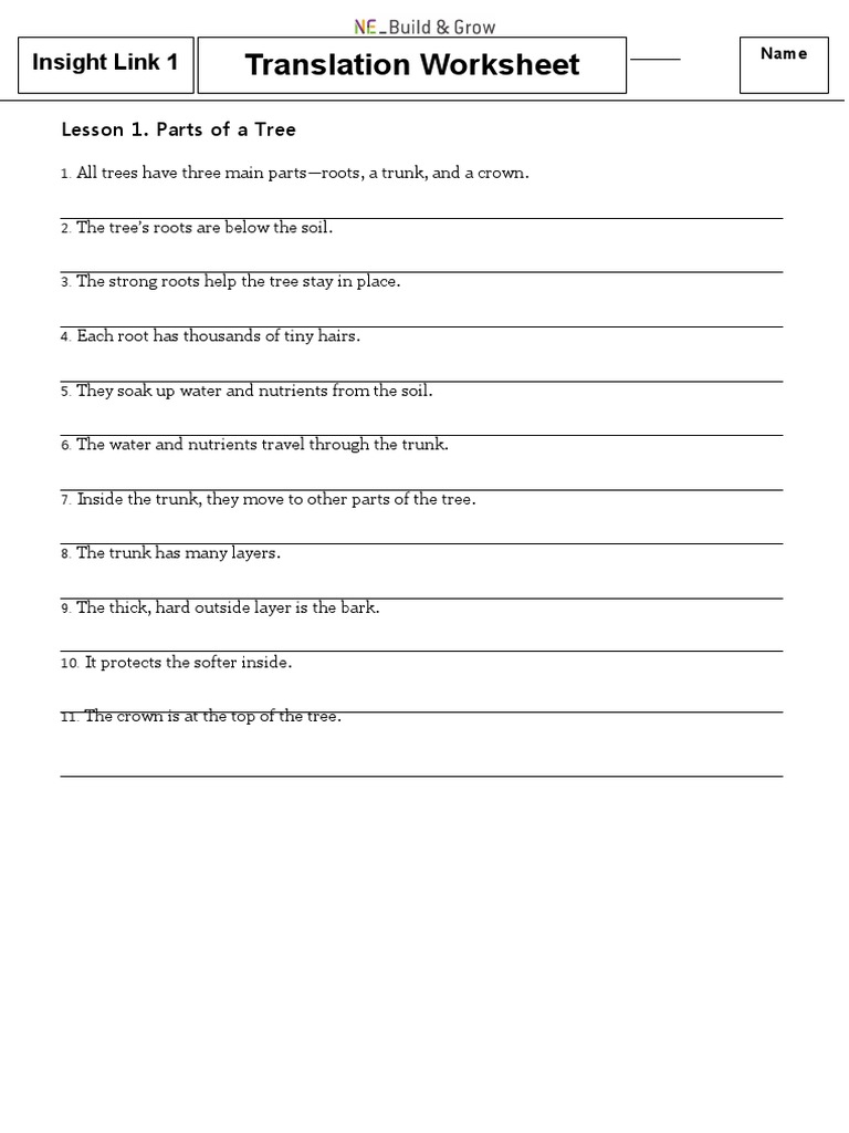 Insight link 1 translation worksheet word pdf trees root