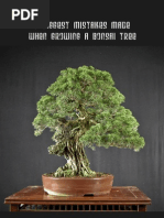 7 Biggest Mistakes Made When Growing A Bonsai Tree