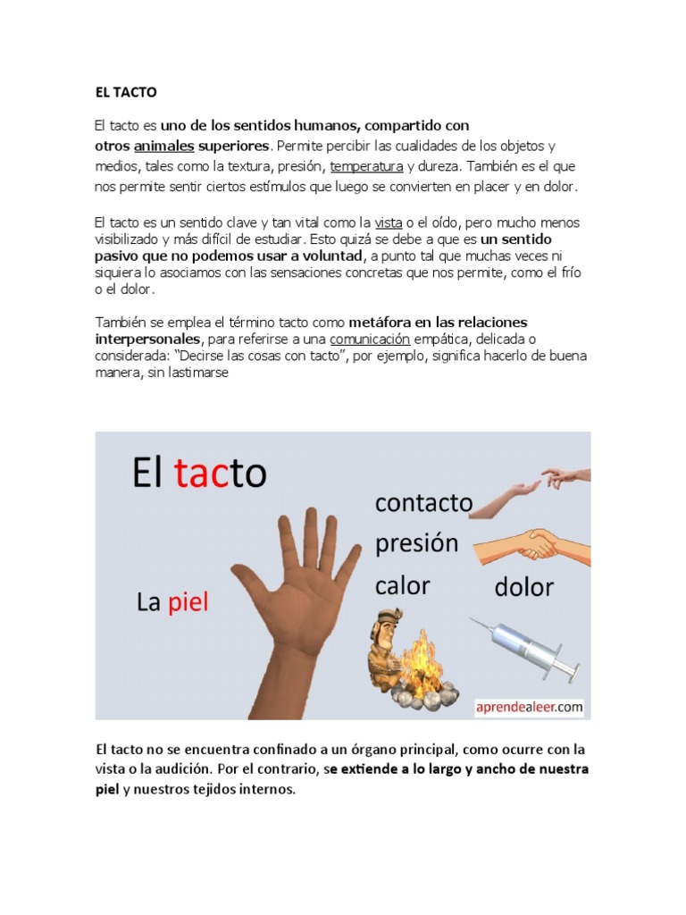 Importancia y Funciones del Tacto | PDF | Piel | Biología