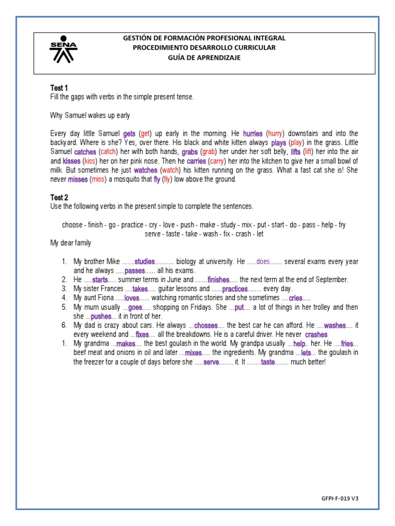 Simple Present Tense Practice Guide | PDF