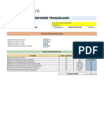 Informe Troquelado