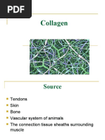 Download Collagen by imi4 SN51239808 doc pdf