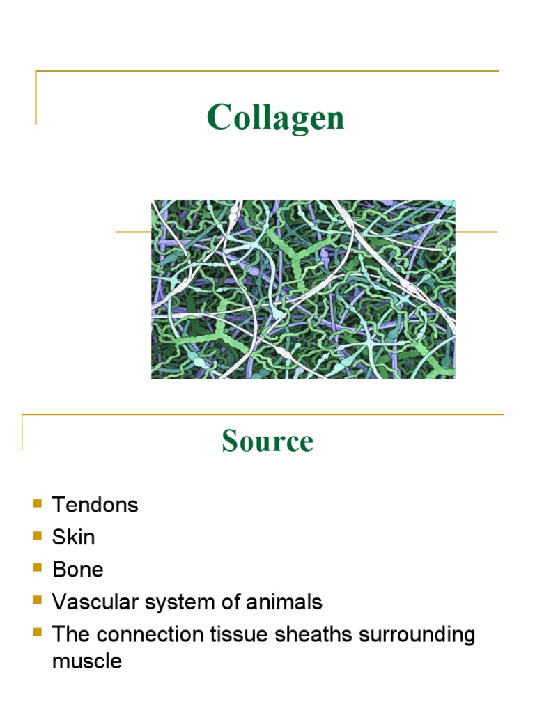 Collagen | PDF