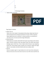 Yusep Satriado - 193020903021 - Tugas01 - Struktur Dan Perkembangan Sel Tumbuhan PDF
