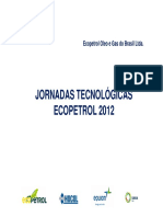 JT.E&P 004 Estudio Regional Cuenca Santos_Última_Versión_ECP