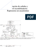 Integración de Señales y Control Recombinatorio