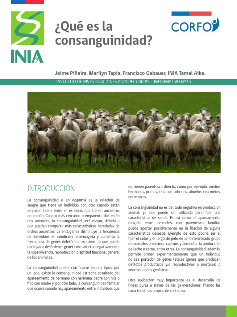 Que Es La Consanguinidad PDF Biología Science