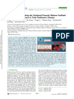 Nanoparticles Mediating The Sustained Puerarin Release Facilitate Improved Brain Delivery To Treat Parkinson's Disease