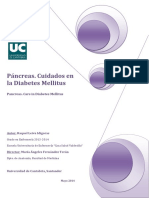 Diabetes - Pancreas